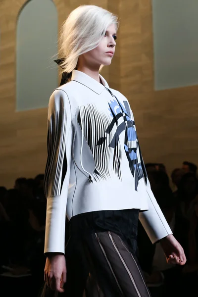 Look 66